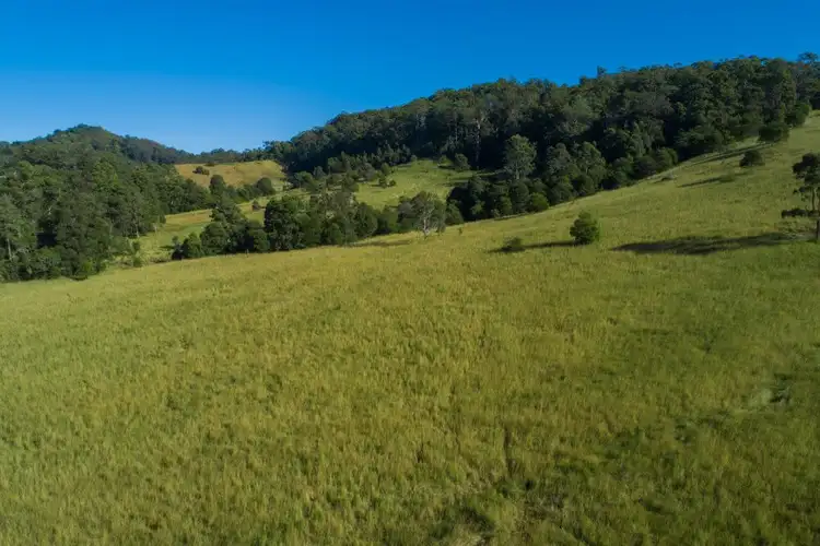 Fourth view of Homely rural property listing, 301 Gum Scrub ROad, Gum Scrub NSW 2441