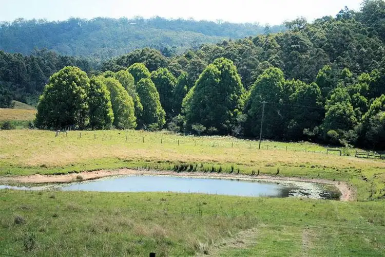 Main view of Homely rural property listing, 141 Duffus Road, Upper Corindi NSW 2456