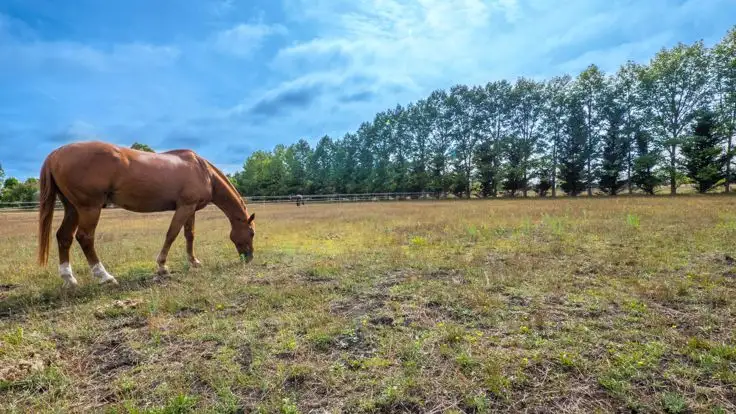 Third view of Homely land listing, Lot 102 The Pines Estate, Armidale NSW 2350