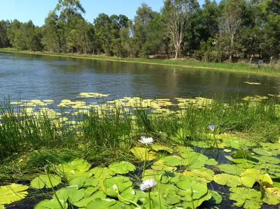 Second view of Homely townhouse listing, Address available on request