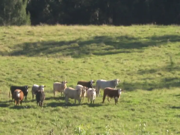 Fifth view of Homely rural property listing, Address available on request