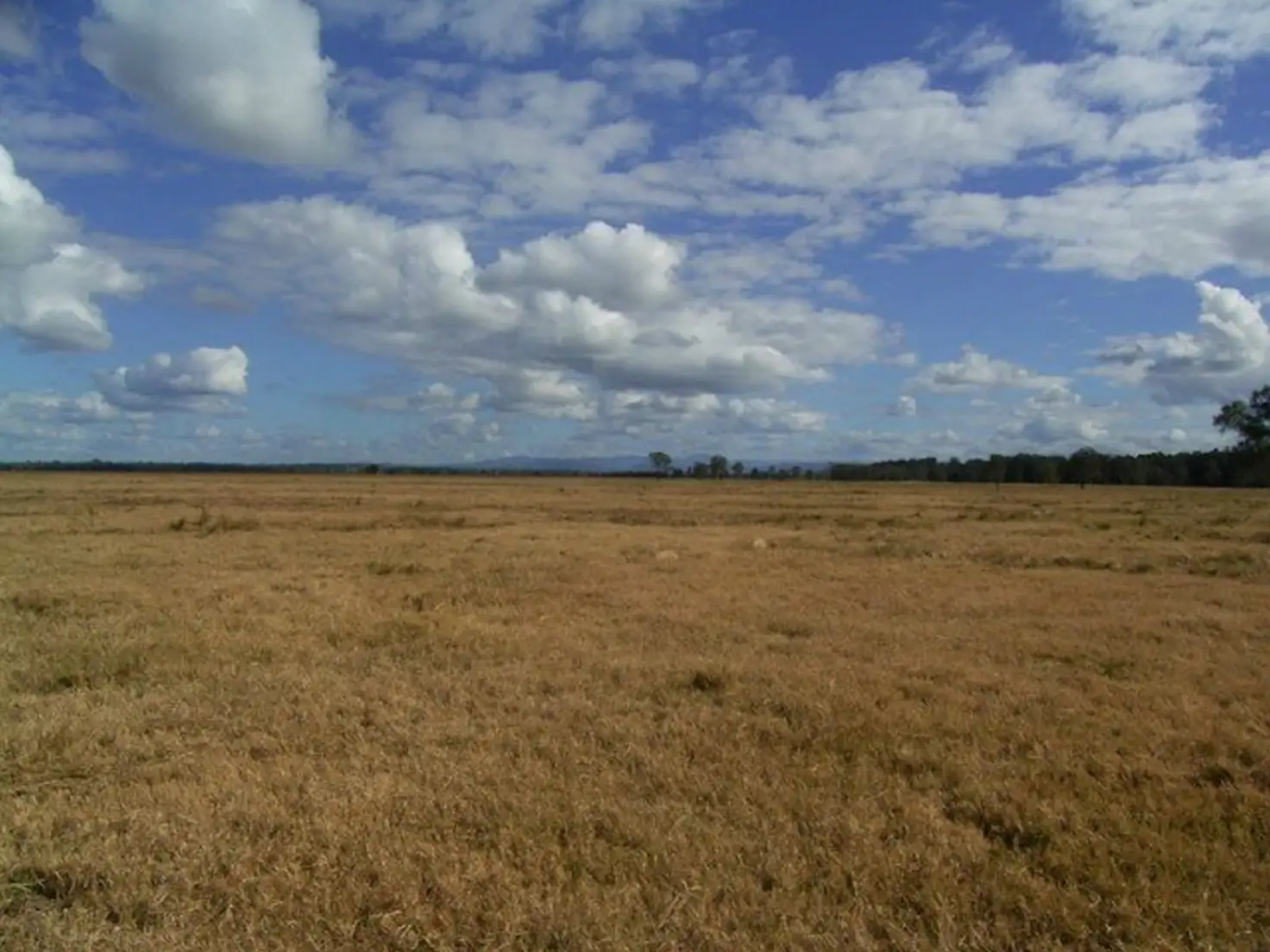 Main view of Homely rural property listing, Address available on request