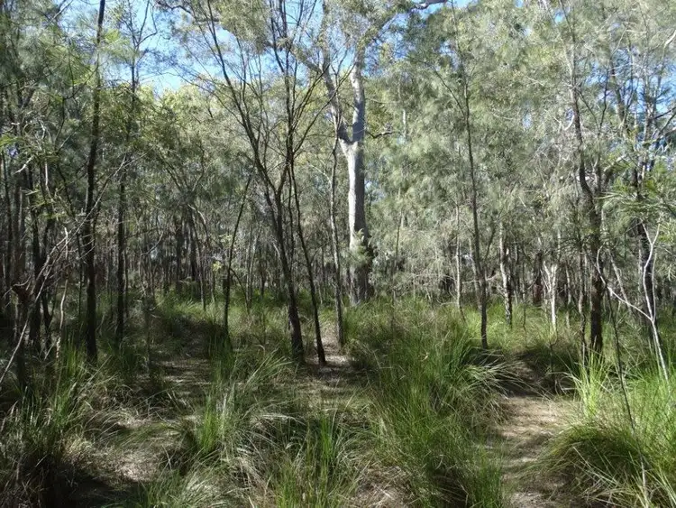 Sixth view of Homely rural property listing, Lot 62 Matchbox Road, Deepwater QLD 4674