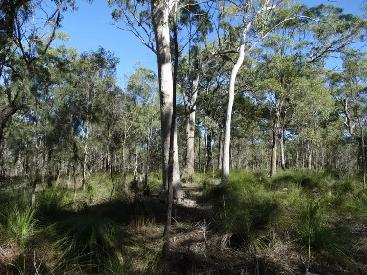 Seventh view of Homely rural property listing, Lot 62 Matchbox Road, Deepwater QLD 4674