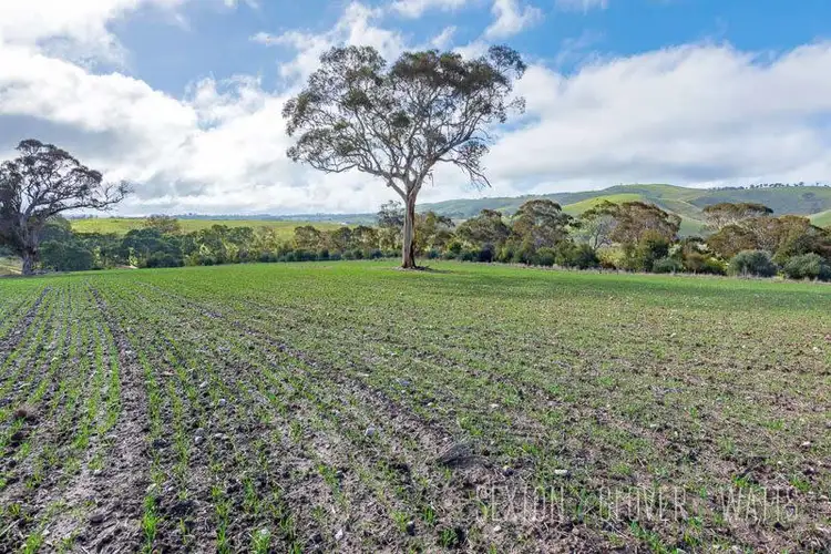 Fifth view of Homely rural property listing, Sec 1859 The Glen Road, Harrogate SA 5244
