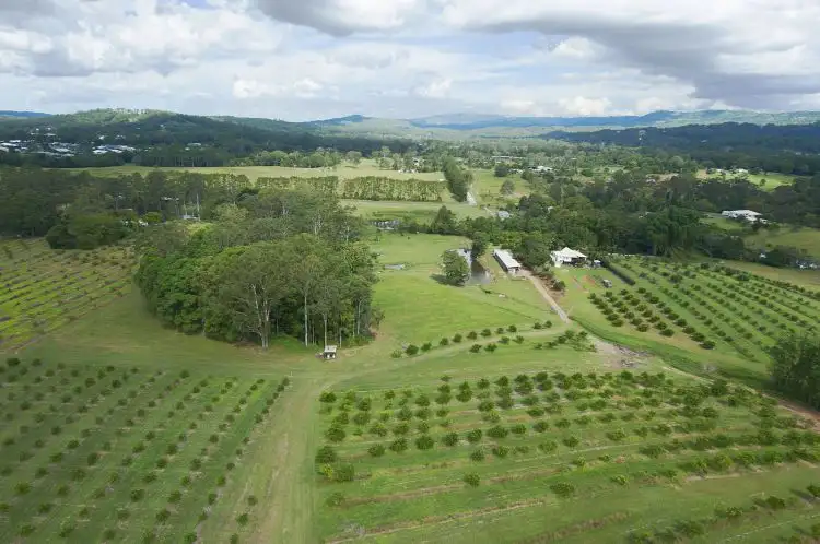 14 Merinda Drive, Palmwoods QLD 4555