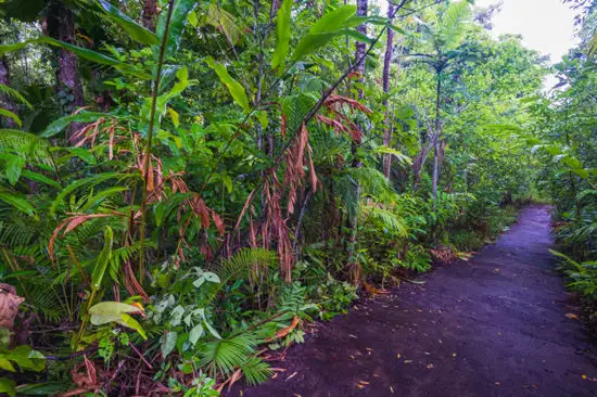 Main view of Homely land listing, 76 Greendale Court, Innisfail QLD 4860