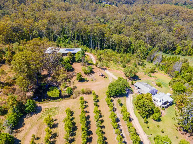 Main view of Homely rural property listing, 504-511 Sherwood Creek Road, Upper Corindi NSW 2456