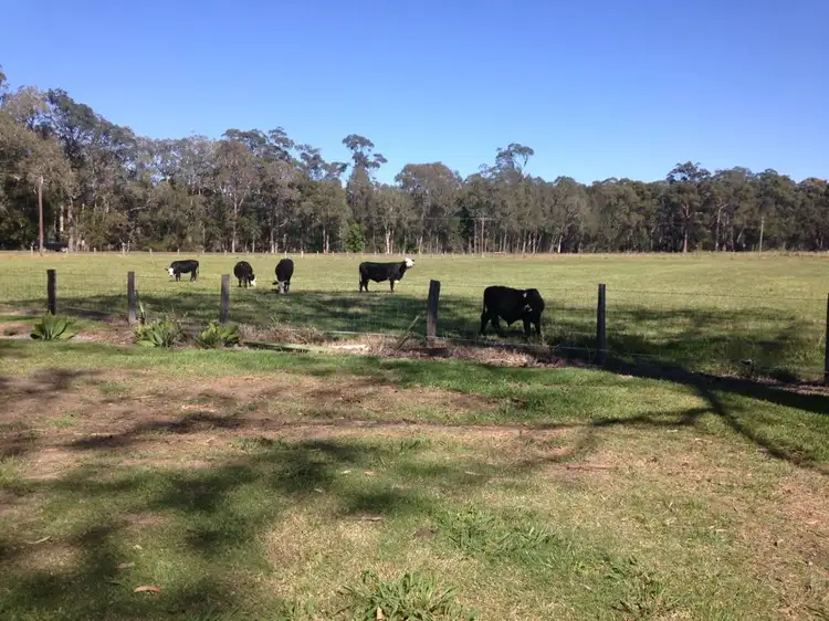 Third view of Homely rural property listing, 353 Blackmans Point Rd, Port Macquarie NSW 2444