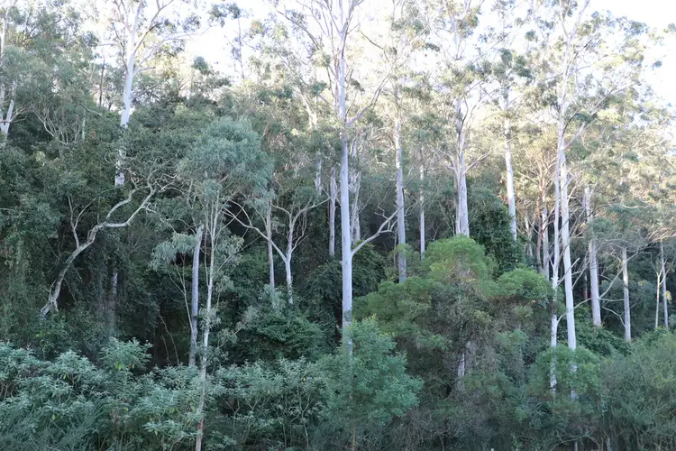 Fifth view of Homely rural property listing, 51 Gotts Road, Lower Portland NSW 2756