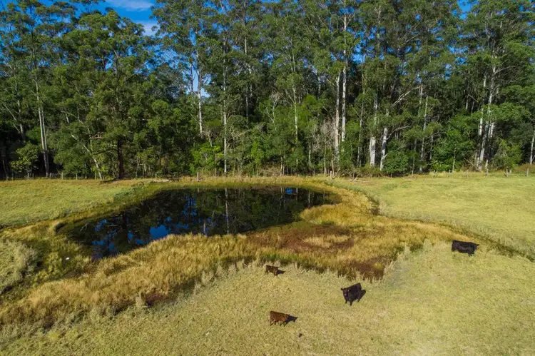 Fifth view of Homely rural property listing, 205 Eastern Boundary, Bellangry NSW 2446