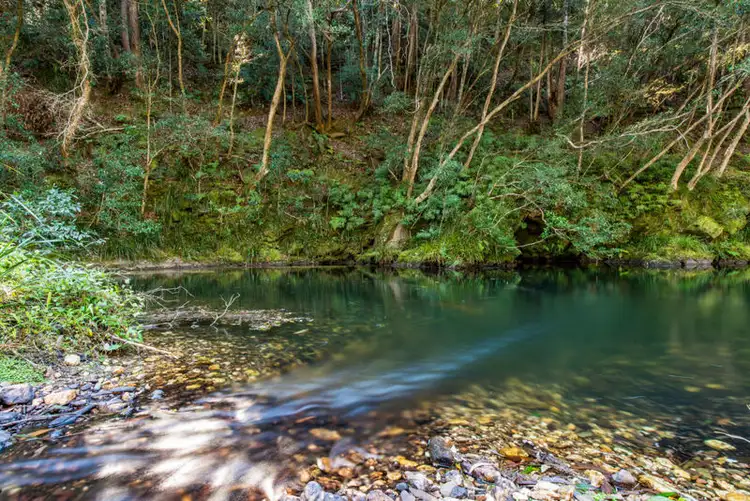 1770 Kalang Road, Bellingen NSW 2454