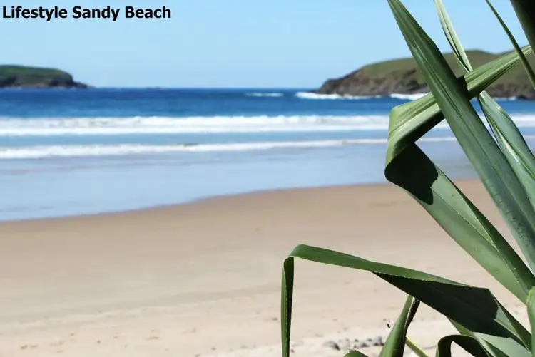 15 Surfsea Avenue, Sandy Beach NSW 2456