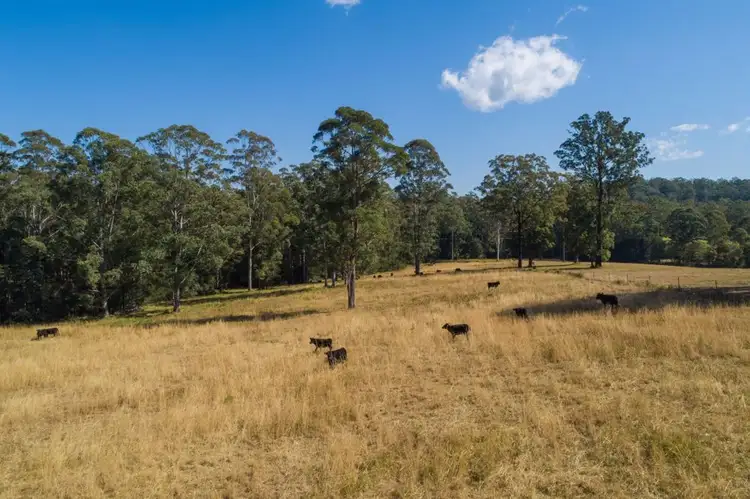 Third view of Homely rural property listing, Address available on request