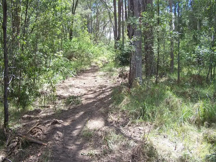 Fifth view of Homely rural property listing, 4 Koribah Lane, Nabiac NSW 2312