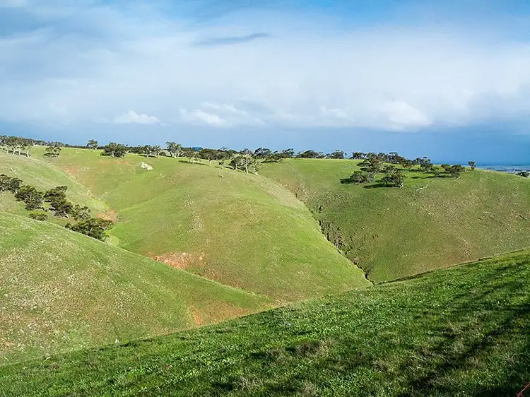 Third view of Homely land listing, L11 Steep Hill Road, Rockleigh SA 5254