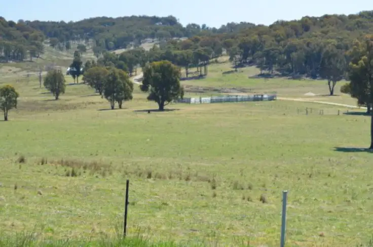 Seventh view of Homely rural property listing, 524 Westbrook  Road, Guyra NSW 2365