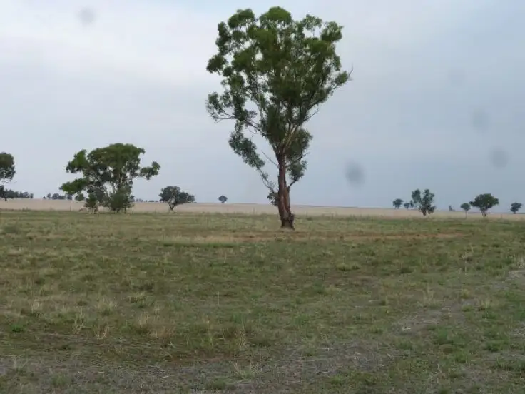 Main view of Homely land listing, Lot 1 McLAREN ST, Oaklands NSW 2646