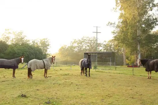 Seventh view of Homely rural property listing, Address available on request
