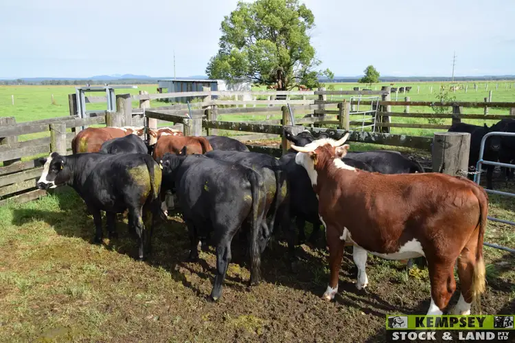 Fifth view of Homely rural property listing, Address available on request