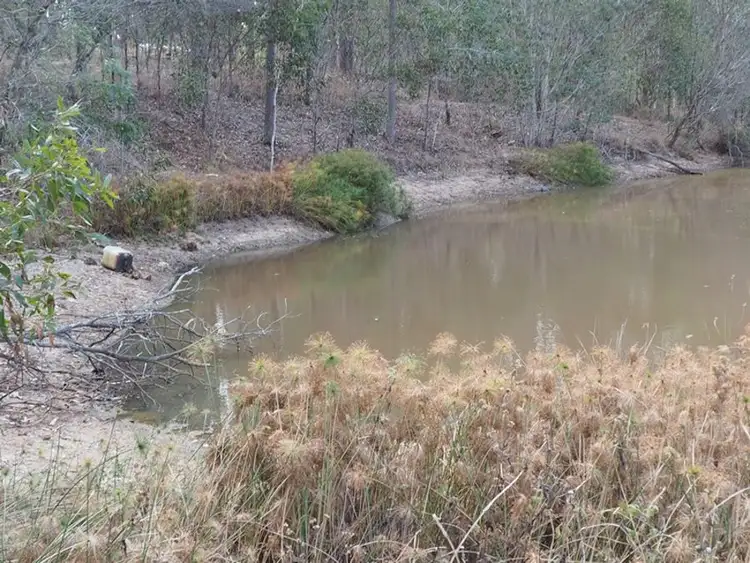 Sixth view of Homely land listing, 98 Rodney Street, Curra QLD 4570