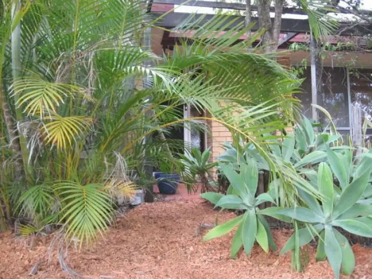 Main view of Homely house listing, 5 Apunya Close, Riverhills QLD 4074