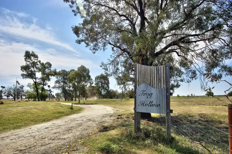 1591 Mayrung Rd, Deniliquin NSW 2710
