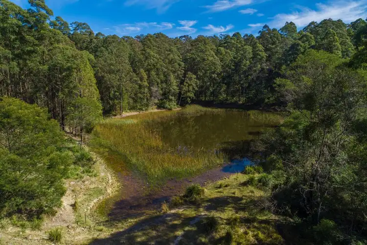 Fourth view of Homely rural property listing, Address available on request