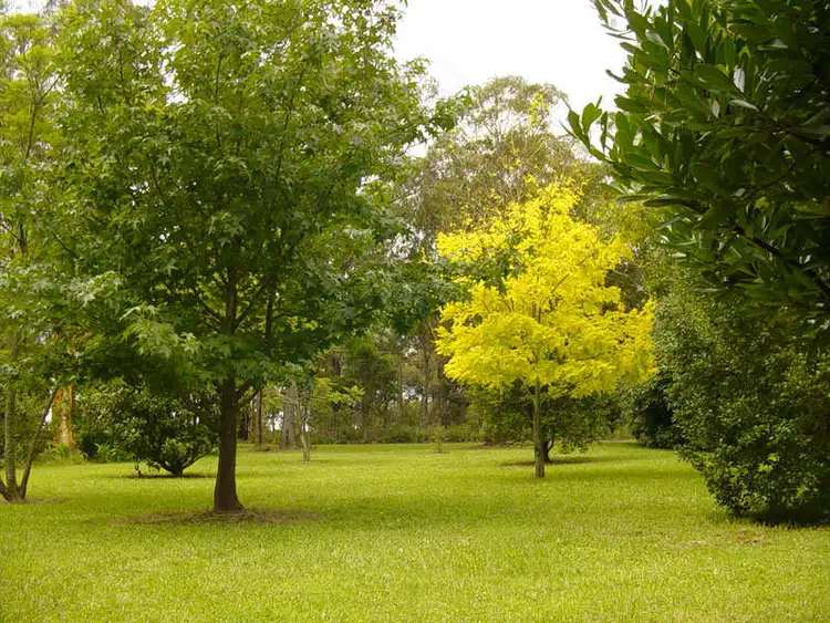 Main view of Homely rural property listing, Address available on request