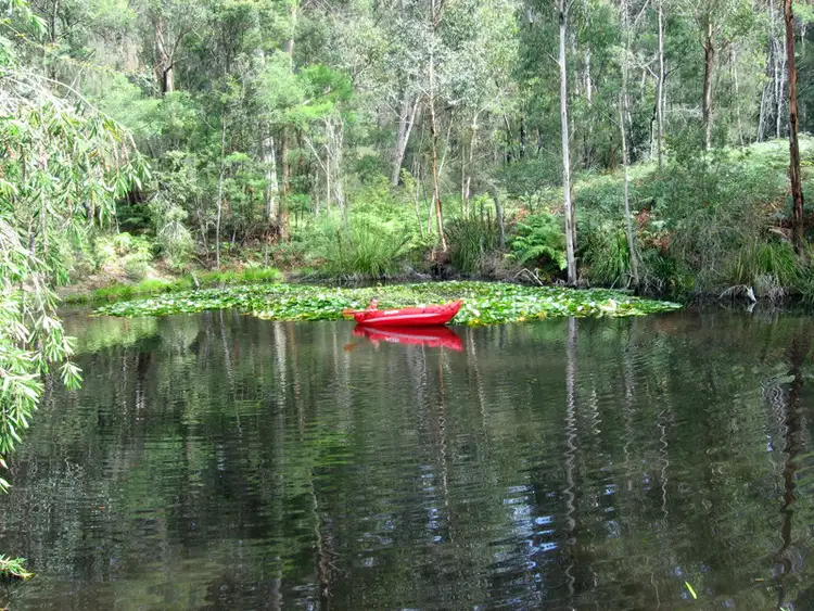 Main view of Homely rural property listing, Lot 31 George Downes Drive, Bucketty NSW 2250