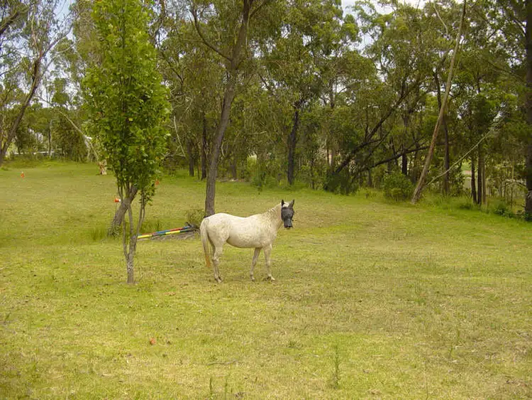 Second view of Homely rural property listing, Address available on request