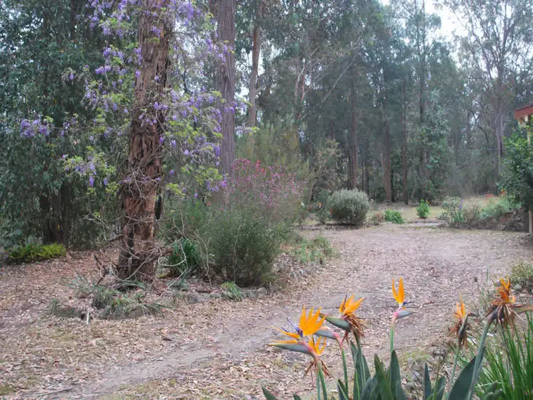 Fourth view of Homely rural property listing, 38 Private Road 1, Bucketty NSW 2250