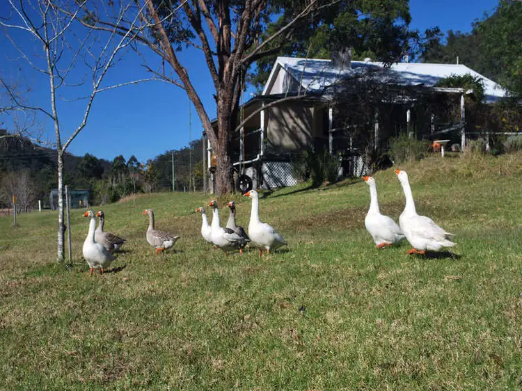 Fifth view of Homely rural property listing, Address available on request