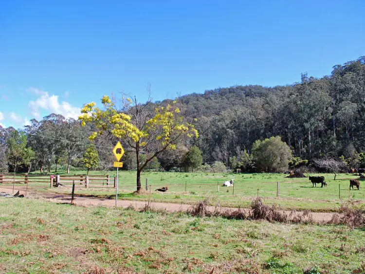 Sixth view of Homely rural property listing, 1026 Watagan Creek Road, Laguna NSW 2325