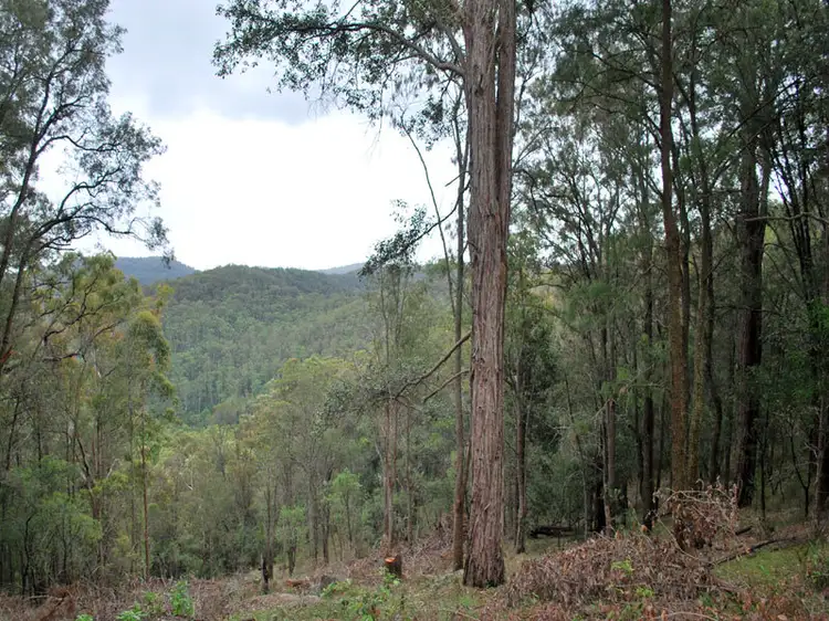 Fourth view of Homely rural property listing, 1507 Murrays Run Road, Laguna NSW 2325