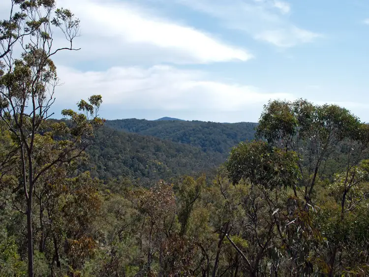 Second view of Homely rural property listing, 117 Private Road 6, Bucketty NSW 2250