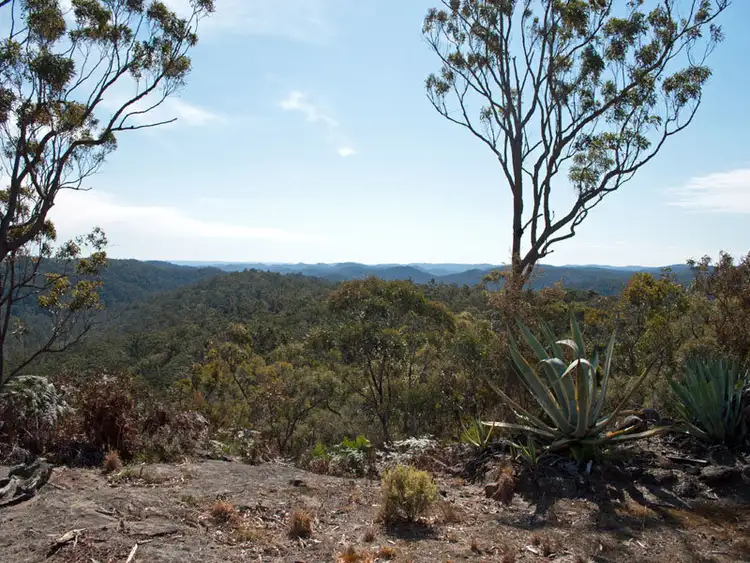 Third view of Homely rural property listing, 117 Private Road 6, Bucketty NSW 2250