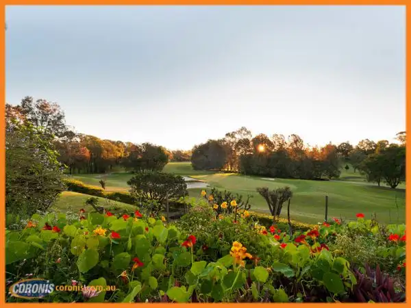 Fifth view of Homely house listing, 11 Rani Close, Mount Ommaney QLD 4074