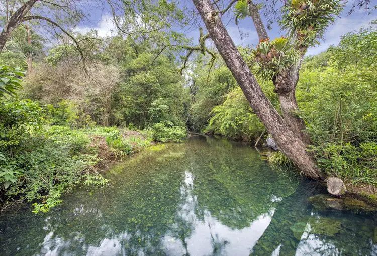 Second view of Homely house listing, 356 North Island Loop Road, Upper Orara NSW 2450