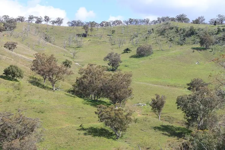 Main view of Homely rural property listing, 436 Davis Creek Road, Rouchel NSW 2336
