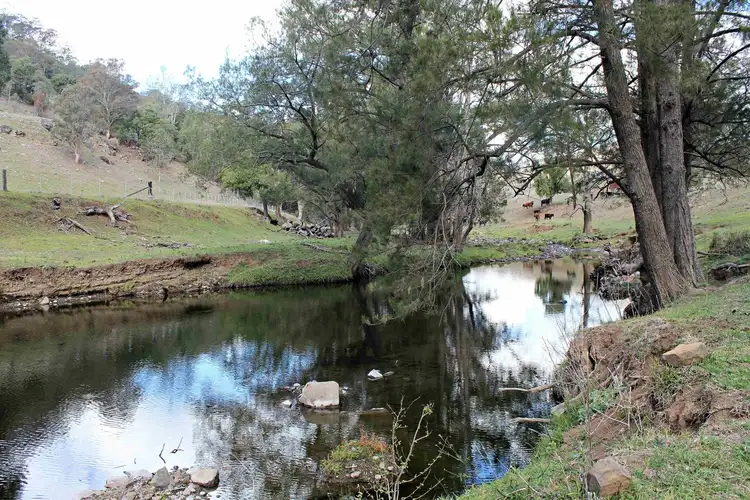 Second view of Homely rural property listing, 436 Davis Creek Road, Rouchel NSW 2336