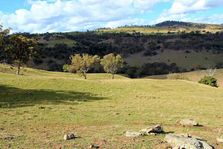 Third view of Homely rural property listing, 436 Davis Creek Road, Rouchel NSW 2336
