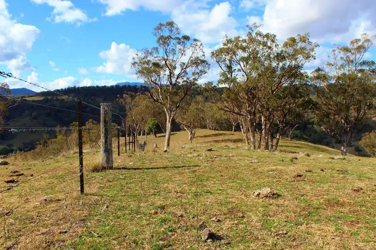 Fourth view of Homely rural property listing, 436 Davis Creek Road, Rouchel NSW 2336