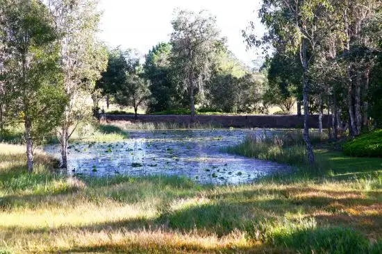 Sixth view of Homely house listing, 175 Langer Road, Bidwill QLD 4650