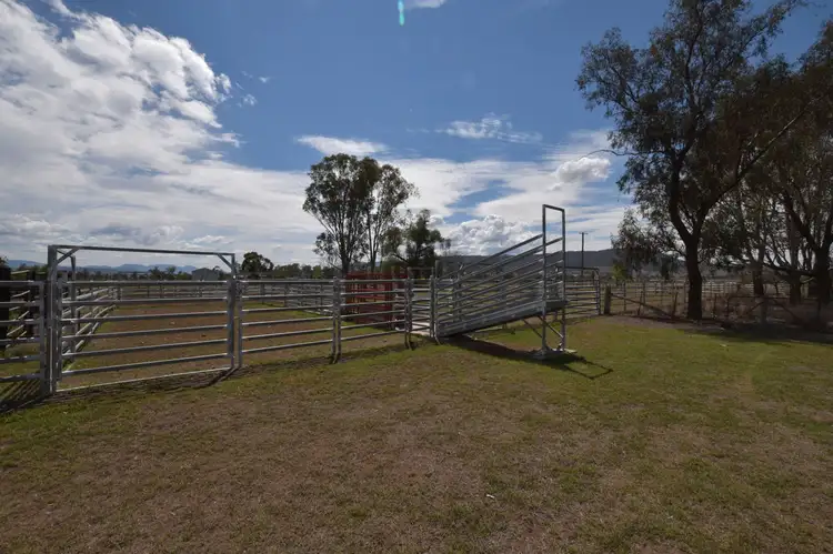 Fourth view of Homely rural property listing, St Aubins Irrigation, Scone NSW 2337