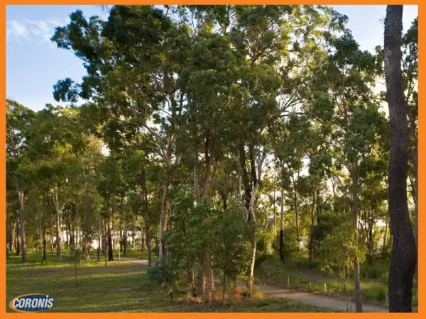 Third view of Homely house listing, 5 Derwent Street, Murrumba Downs QLD 4503