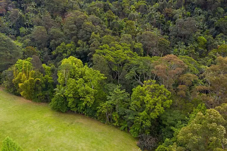 Sixth view of Homely land listing, 497 Mount Warning Road,, Mount Warning NSW 2484