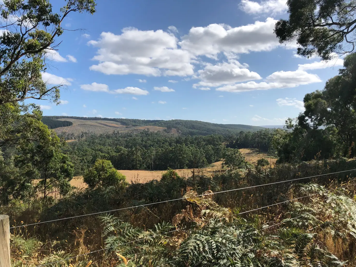 Main view of Homely land listing, 650 Escarpment Road, Gellibrand VIC 3239