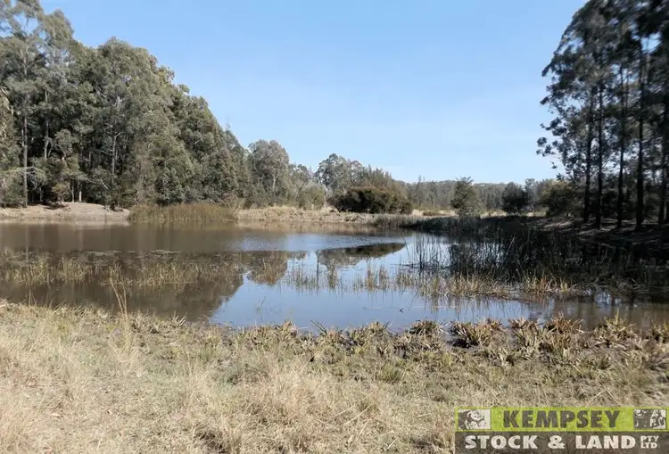 Seventh view of Homely rural property listing, Lot 2, 26 & 44 Seven Hills Road, Collombatti NSW 2440