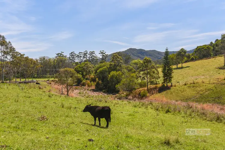 Sixth view of Homely rural property listing, 854 Coramba Road, Karangi NSW 2450